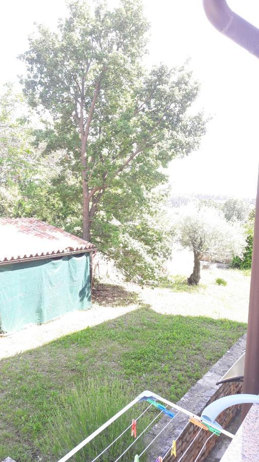 Apartment Radovan Porec Esterno foto