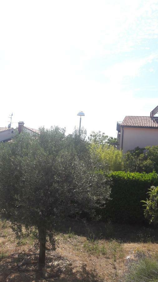 Apartment Radovan Porec Esterno foto